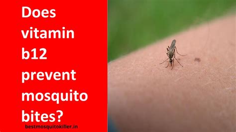 Does vitamin b12 prevent mosquito bites?