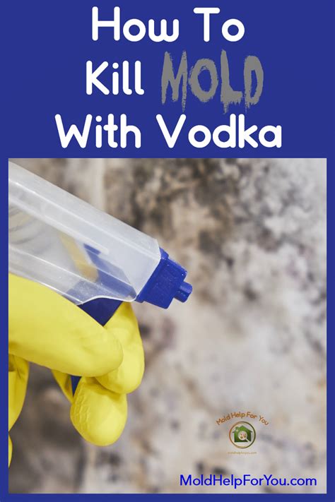 Does vodka remove mold?