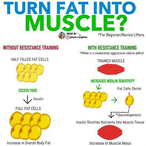 Does walking turn fat into muscle?