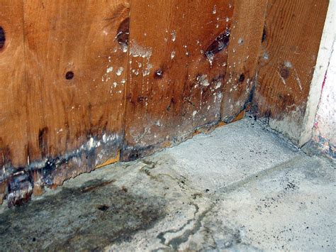 Does water damage cause mold?