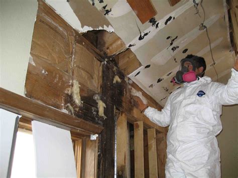 Does water damage mean black mold?