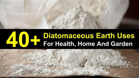Does water dissolve diatomaceous earth?