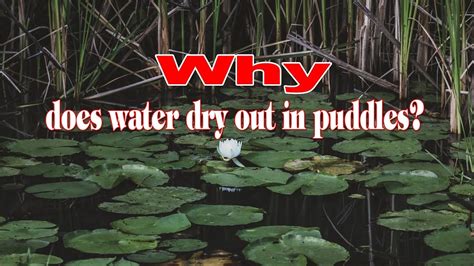 Does water dry out eventually?