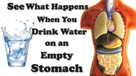 Does water go to your stomach when you drink it?