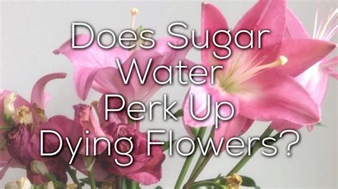 Does water make flowers last longer?