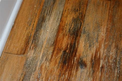 Does water on wood cause mold?