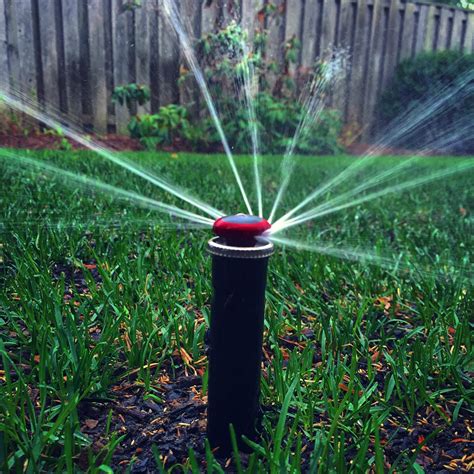 Does water stay in sprinkler lines?