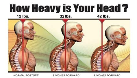 Does weight affect neck size?