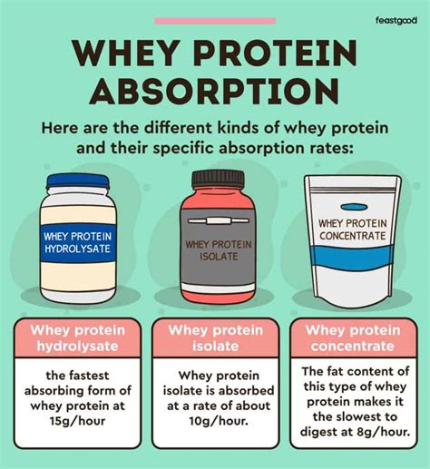 Does whey isolate absorb faster?