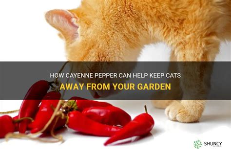 Does white pepper keep cats away?