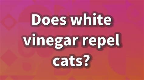 Does white vinegar deter cats?