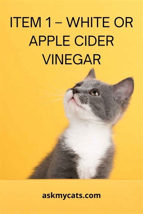 Does white vinegar keep cats away?