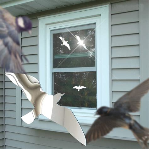 Does window film deter birds?
