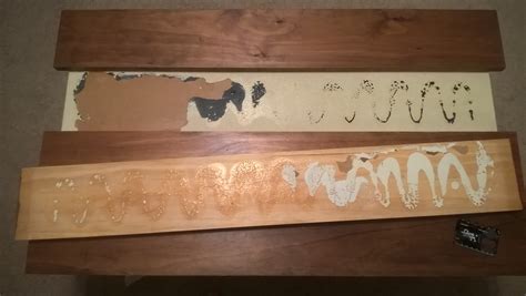 Does wood glue fail over time?