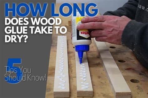 Does wood glue really need 24 hours to dry?