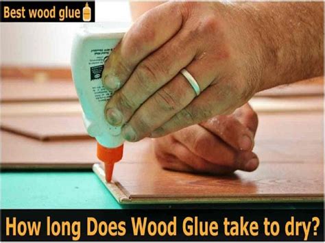 Does wood glue really take 24 hours to dry?
