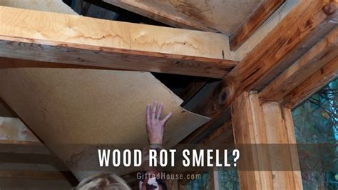 Does wood rot smell?