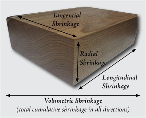 Does wood shrink more in length or width?