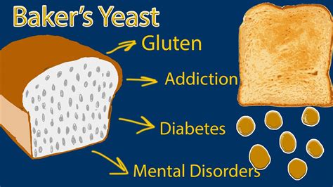 Does yeast eat all the sugar in bread?