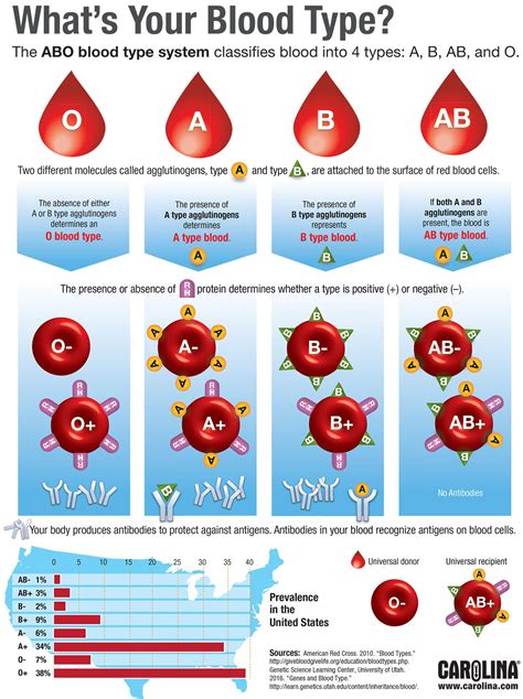 Does your blood type affect your skin?