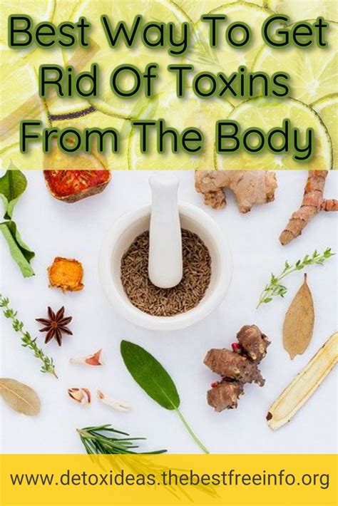 Does your body get rid of all toxins?