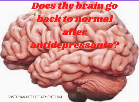 Does your brain go back to normal after antidepressants?