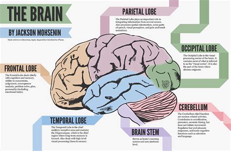 Does your brain know your name?