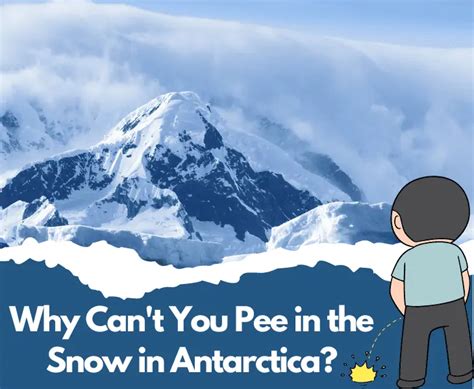Does your pee freeze in Antarctica?