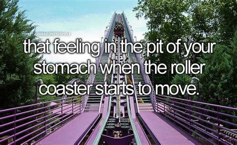 Does your stomach move on roller coasters?