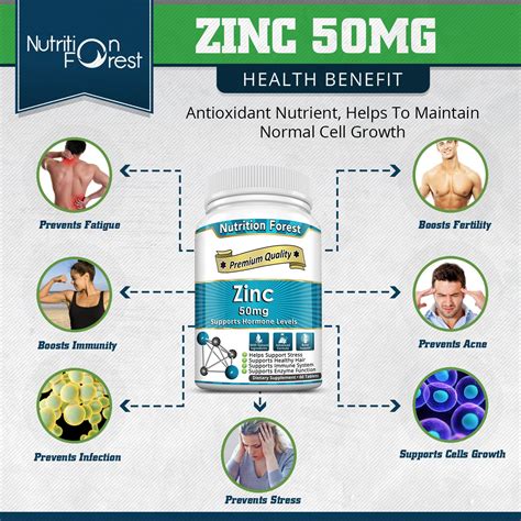 Does zinc help muscle growth?