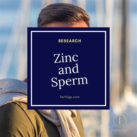 Does zinc increase sperm?