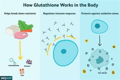 Does zinc interact with glutathione?