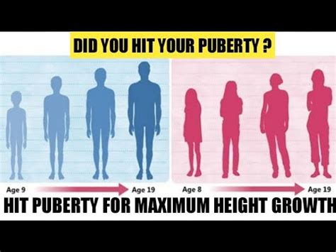 During which period does height increase the most?