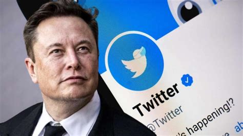 Has Twitter lost users since Elon Musk?