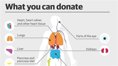 Has an organ ever been donated twice?