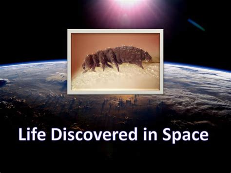 Has any living thing been found in space?