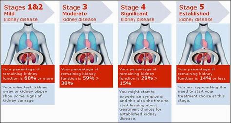Has anyone survived stage 5 kidney failure?