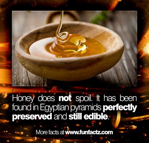 Has honey been found in pyramids?