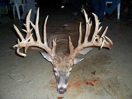 Has there ever been a 30 point buck?