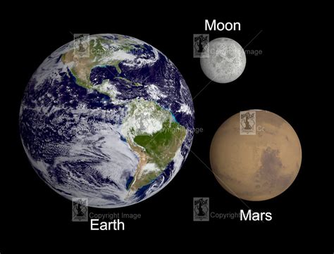 How are Mars moons different from Earth's?