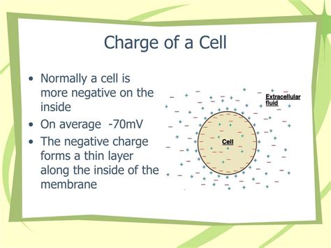 How are cells charged?