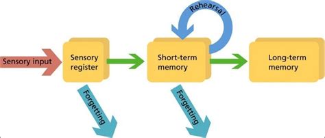 How are memories stored first?