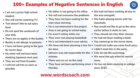 How are negative statements in French and English different?