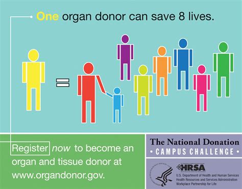 How are organ donors matched?
