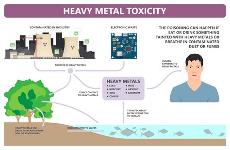 How are toxic heavy metals removed?