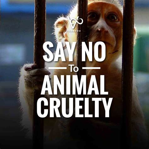 How are we cruel to animals?