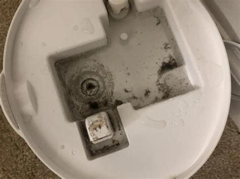 How bad is a moldy humidifier?