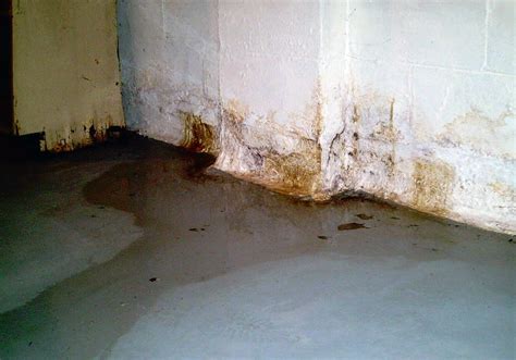 How bad is a wet basement?