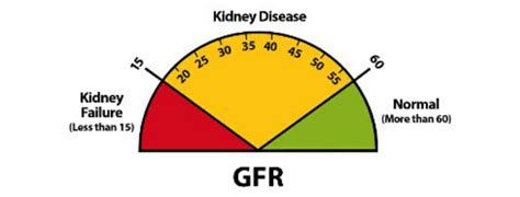 How bad is eGFR of 55?