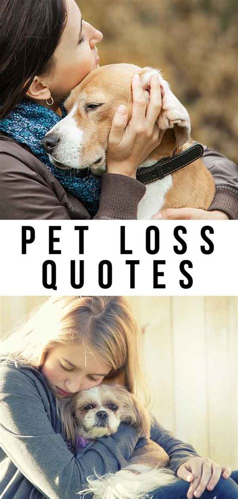 How bad is it to lose a pet?